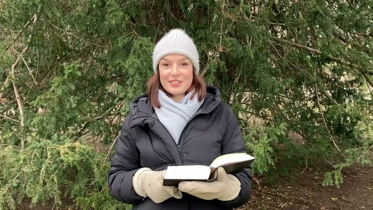 3 Perspektiven auf 1 Werk Emil Wolff Der Winter 4