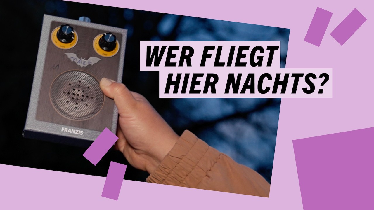 Fledermausexpedition - Forschung zum Mitmachen in Berlin
